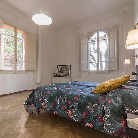 Tilia בולוניה