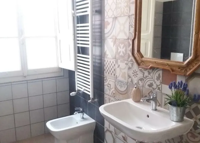 Tilia * בולוניה