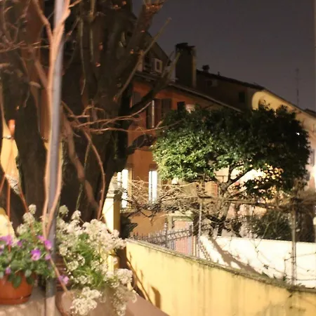 Tilia * Bologna