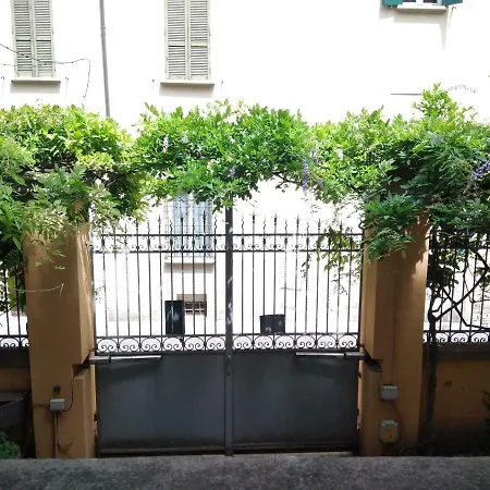 Tilia Bologna