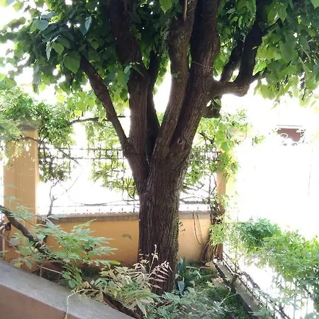 Appartamento Tilia Bologna