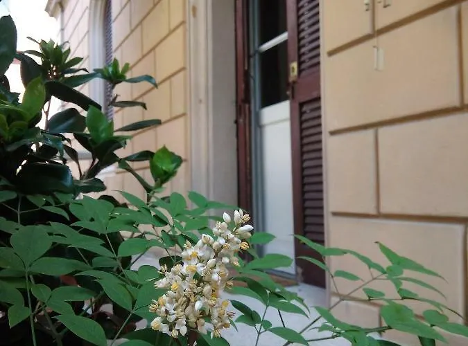 Apartment Tilia Bologna