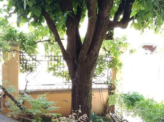 Lejlighed Tilia Bologna