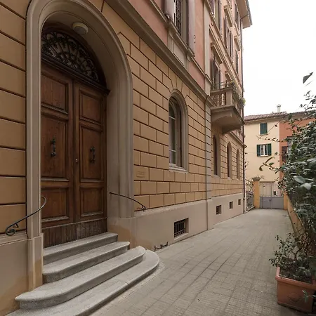 Tilia ボローニャ