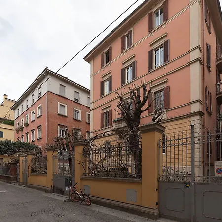 Tilia ボローニャ