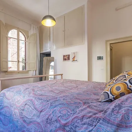 Tilia * ボローニャ